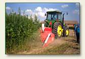 Federal - US - Congress - Support The Industrial Hemp Farming Act of 2011